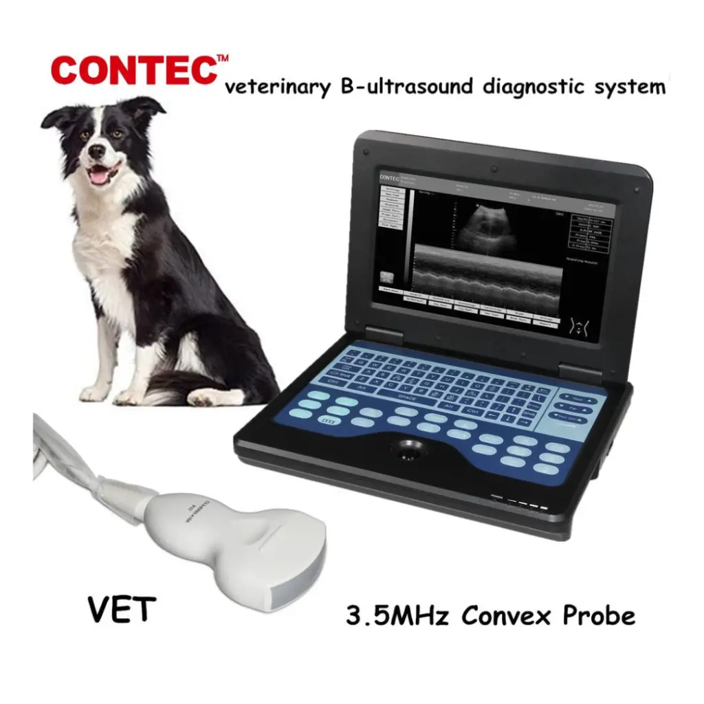 veterinario ecografo (1).webp