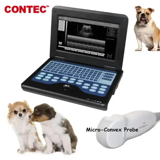 [CMS600P2VET] Ecografo veterinario portátil. CONTEC